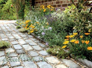 Садовые дорожки своими руками