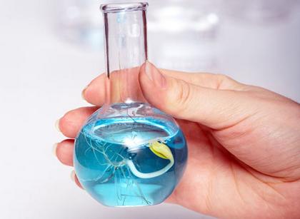 Предпосевная обработка семян Предпосевная обработка семян