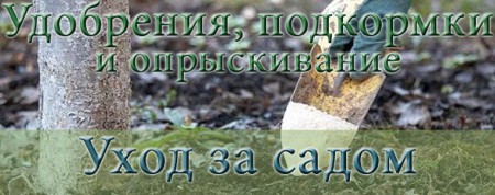 Удобрения подкормки и опрыскивание