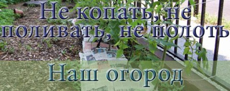 Опыт огородника