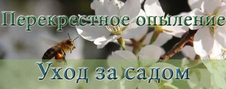 Перекрестное опыление