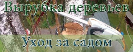 Вырубка деревьев на дачном участке