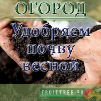 Удобряем почву