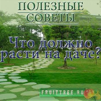 Что должно расти на даче