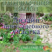 Дизайн приусадебного участка