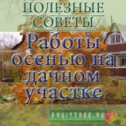 Работы осенью на дачном участке