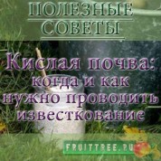 Кислая почва