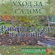 Работы в саду в октябре