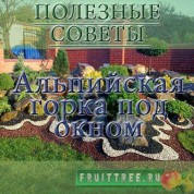 альпийскую горку своими руками