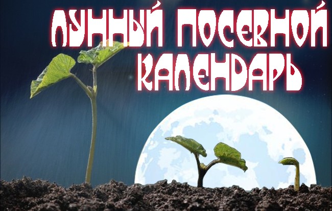 Лунный посевной календарь