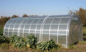 Выбор теплицы